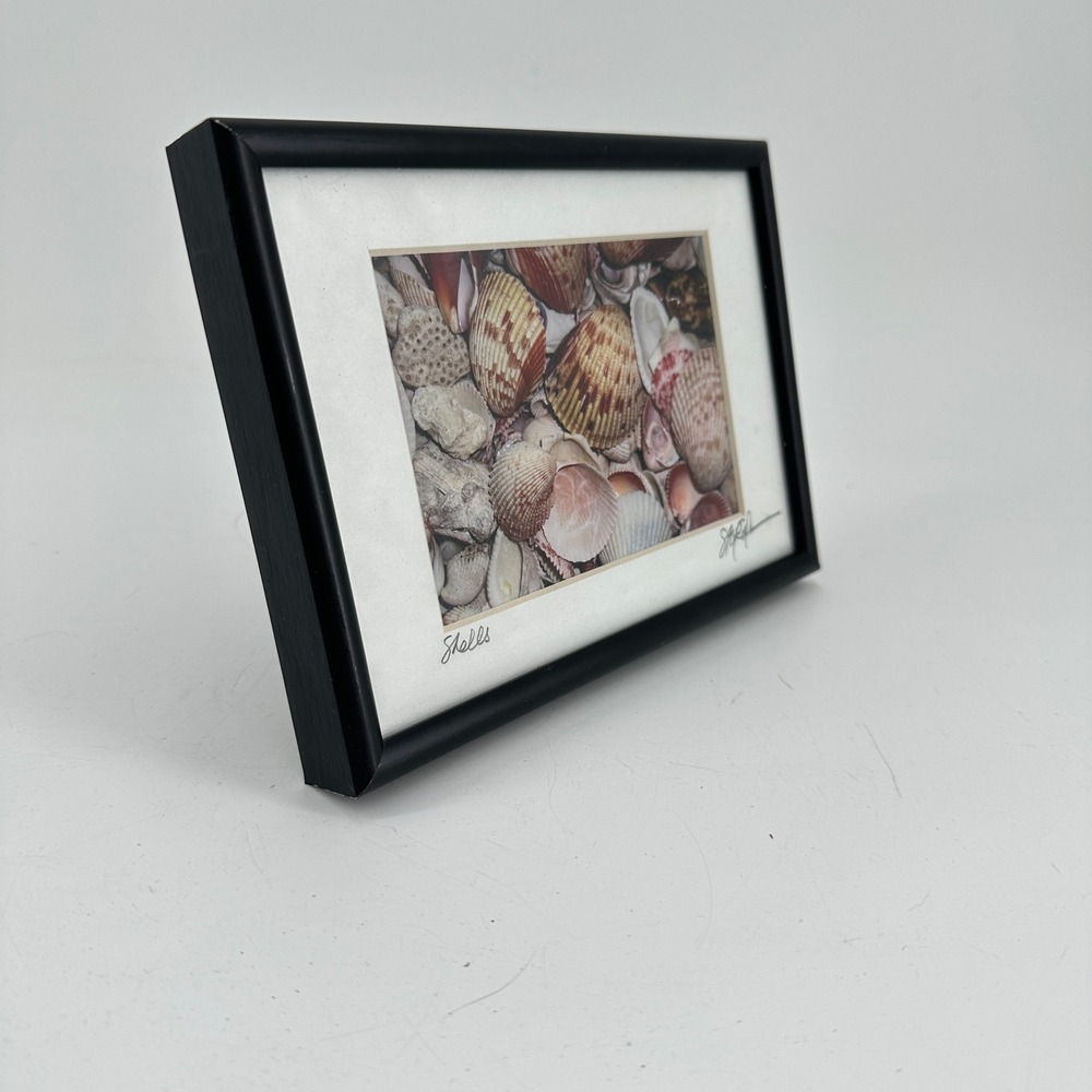 Signed Shells Framed Photographic Print Coastal Beach House Decor Black Frame